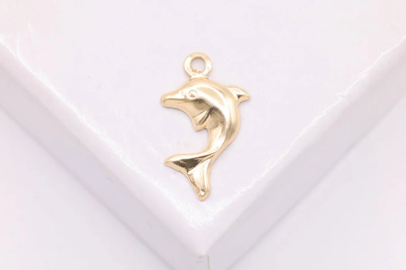 Dolphin