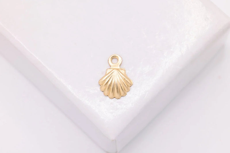 Scallop Shell